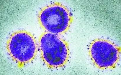 注意了！新冠病毒可能像流感一样与人类共存！[博航]