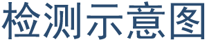 检测示意图