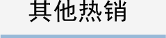 其他热销