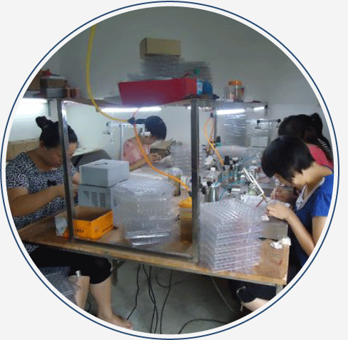 某公司 三无产业