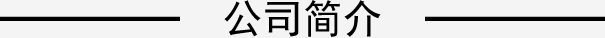 公司简介