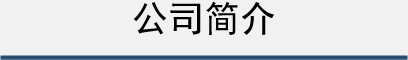 公司简介