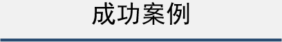 成功案例