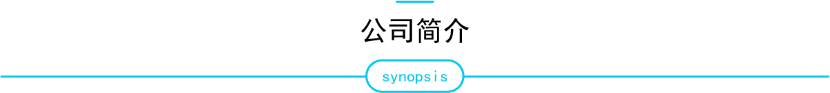 公司简介